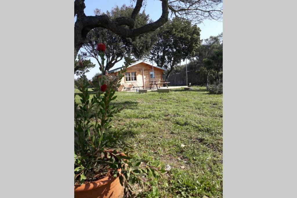 Chalet Climatise Santa Maria A Bonifacio Bonifacio  Εξωτερικό φωτογραφία